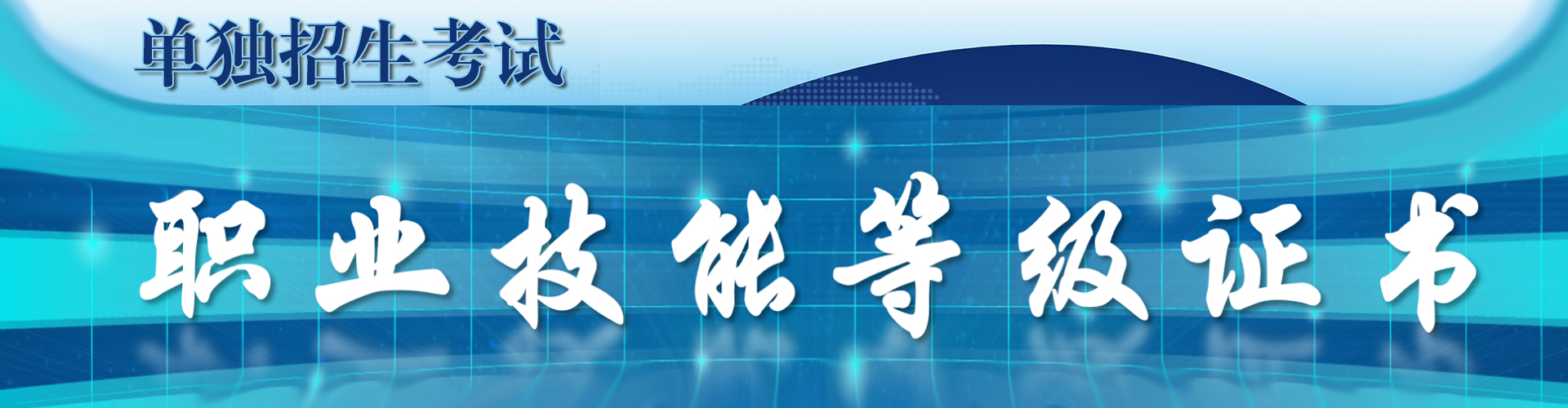 单招职业技能等级认定审核平台
